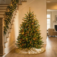 4.5 ft. Pre-Lit Dunhill Fir Hinged Tree with Multicolor Lights, Plug-In - National Tree Company