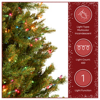 4.5 ft. Pre-Lit Dunhill Fir Hinged Tree with Multicolor Lights, Plug-In - National Tree Company