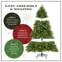 6 ft. Pre-Lit Dunhill Fir Hinged Tree with Clear Lights, Plug-In - National Tree Company