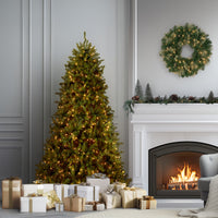 6 ft. Pre-Lit Dunhill Fir Tree with Clear Lights - National Tree Company