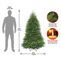 6 ft. Dunhill Fir Tree - National Tree Company