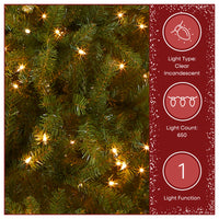 6.5 ft. Pre-Lit Dunhill Fir Tree with Clear Lights, Plug-In - National Tree Company