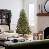 6.5 ft. Pre-Lit Dunhill Fir Tree with Clear Lights - National Tree Company