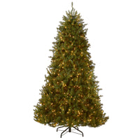 6.5 ft. Pre-Lit Dunhill Fir Tree with Clear Lights, Plug-In - National Tree Company