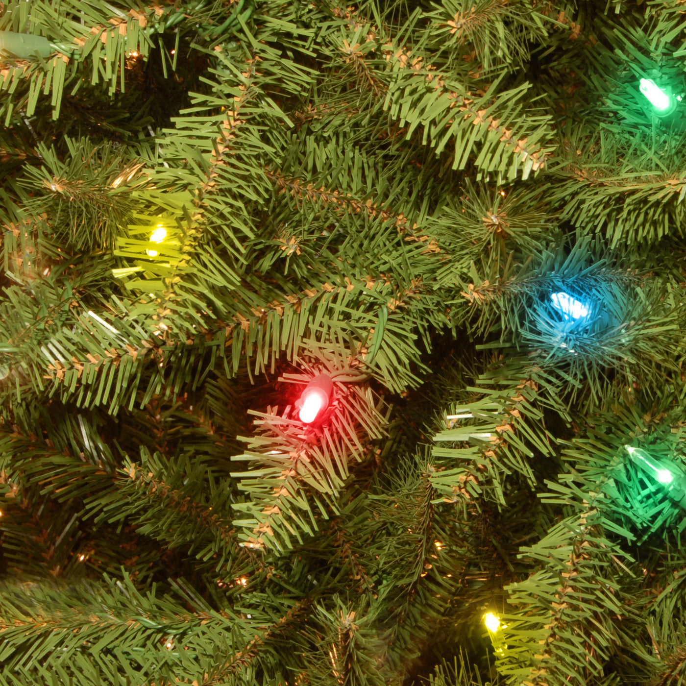 6.5 ft. Pre-Lit Dunhill Fir Tree with Multicolor Lights - National Tree Company