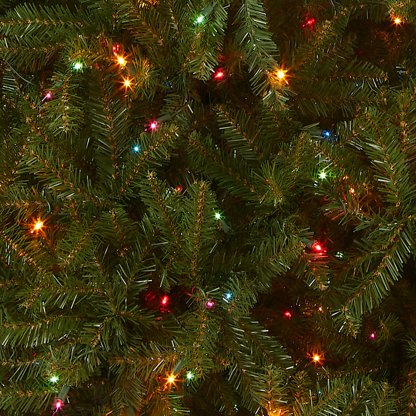 6.5 ft. Pre-Lit Dunhill Fir Tree with Multicolor Lights - National Tree Company