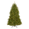 7 ft. Pre-Lit Dunhill Fir Tree with Clear Lights - National Tree Company