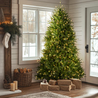 7 ft. Pre-Lit Dunhill Fir Tree with Clear Lights - National Tree Company
