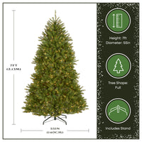 7 ft. Pre-Lit Dunhill Fir Tree with Clear Lights - National Tree Company