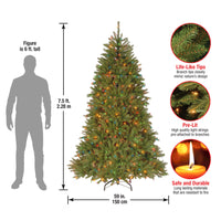 7.5 ft. Pre-Lit Dunhill Fir Tree with Multicolor Lights - National Tree Company
