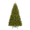 9 ft. Pre-Lit Dunhill Fir Hinged Tree with 1100 Clear Lights - National Tree Company