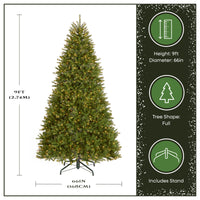 9 ft. Pre-Lit Dunhill Fir Hinged Tree with 1100 Clear Lights - National Tree Company