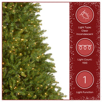 9 ft. Pre-Lit Dunhill Fir Hinged Tree with 1100 Clear Lights - National Tree Company