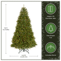 9 ft. Pre-Lit Dunhill Fir Tree with 900 Clear Lights - National Tree Company