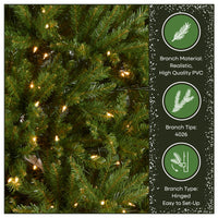9 ft. Pre-Lit Dunhill Fir Tree with 900 Clear Lights - National Tree Company