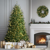 7 ft. Pre-Lit Dunhill Fir Tree with PowerConnect Clear Lights - National Tree Company