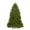 7.5 ft. Pre-Lit Dunhill Fir Hinged Tree with PowerConnect Clear Lights, Plug-In - National Tree Company