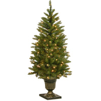 4 ft. Pre-Lit Dunhill Fir Entrance Tree with Clear Lights - National Tree Company