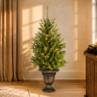 4 ft. Pre-Lit Dunhill Fir Entrance Tree  in Dark Bronze Pot with Clear Lights, Plug-In - National Tree Company