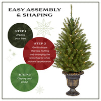 4 ft. Pre-Lit Dunhill Fir Entrance Tree  in Dark Bronze Pot with Clear Lights, Plug-In - National Tree Company