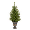 4 ft. Pre-Lit Dunhill Fir Entrance Tree  in Dark Bronze Pot with Clear Lights, Plug-In - National Tree Company