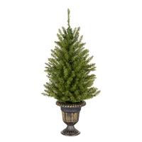 4 ft. Pre-Lit Dunhill Fir Entrance Tree  in Dark Bronze Pot with Clear Lights, Plug-In - National Tree Company