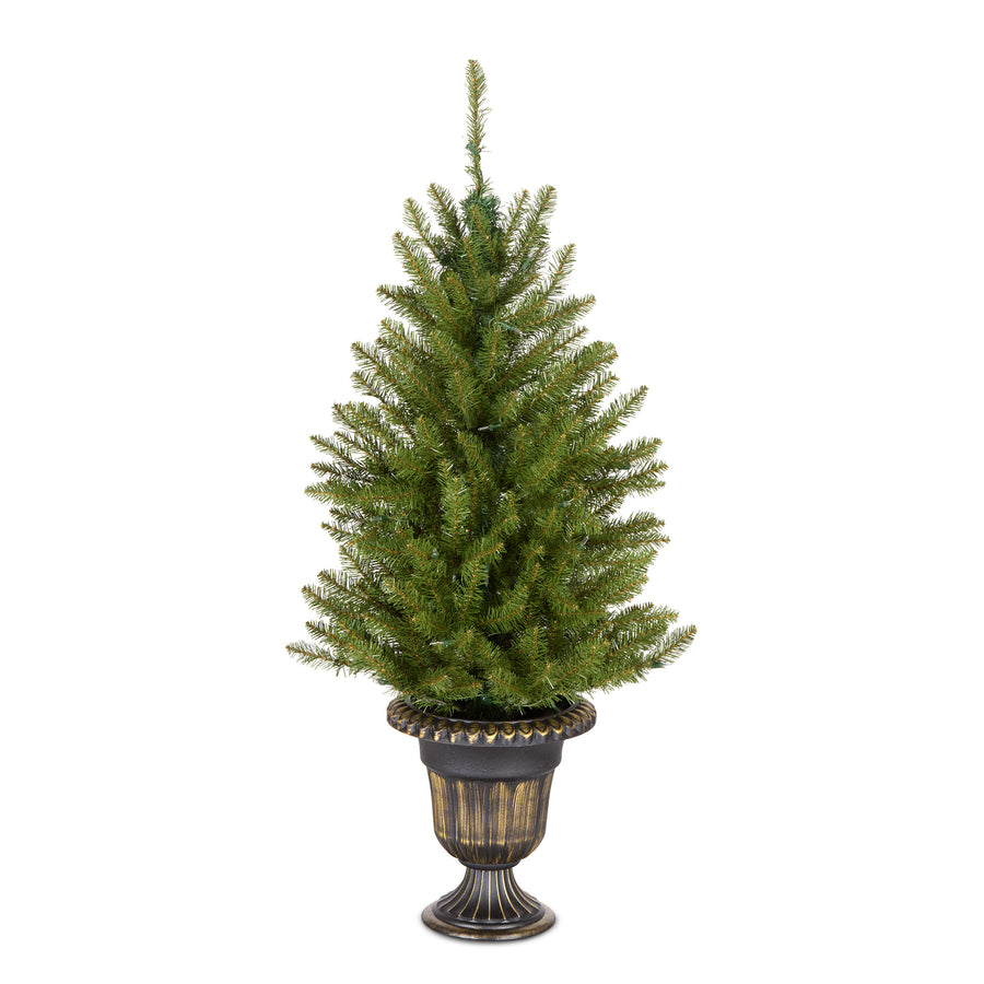 4 ft. Pre-Lit Dunhill Fir Entrance Tree  in Dark Bronze Pot with Clear Lights, Plug-In - National Tree Company