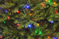 9 ft. Pre-Lit Dunhill Fir Tree with PowerConnect  Dual Color LED Lights - National Tree Company
