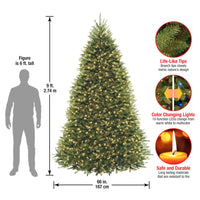 9 ft. Pre-Lit Dunhill Fir Tree with PowerConnect  Dual Color LED Lights - National Tree Company