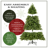 10 ft.Pre-Lit Dunhill Fir Hinged Tree with PowerConnect Dual Color LED Lights, Plug-In - National Tree Company