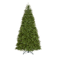10 ft.Pre-Lit Dunhill Fir Hinged Tree with PowerConnect Dual Color LED Lights, Plug-In - National Tree Company