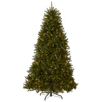 6.5 ft. Pre-Lit Dunhill Fir with PowerConnect Dual Color LED Lights - National Tree Company