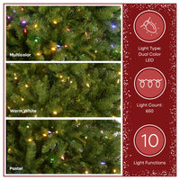 7 ft. Pre-Lit Dunhill Fir Hinged Tree with PowerConnect Dual Color LED Lights - National Tree Company