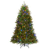 7 ft. Pre-Lit Dunhill Fir Hinged Tree with PowerConnect Dual Color LED Lights - National Tree Company