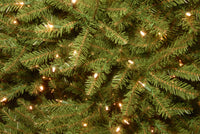 12 ft. Pre-Lit Dunhill Fir Tree with PowerConnect Dual Color LED Lights - National Tree Company