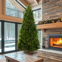 12 ft. Pre-Lit Dunhill Fir Tree with PowerConnect Dual Color LED Lights, Plug-In - National Tree Company