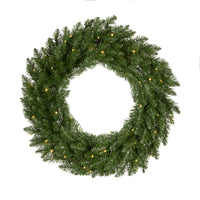 24 in. Pre-Lit Dunhill Shimmer Fir Wreath with Warm White LED Lights - National Tree Company