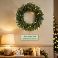 24 in. Pre-Lit Dunhill Shimmer Fir Wreath with Warm White LED Lights - National Tree Company