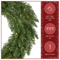 24 in. Pre-Lit Dunhill Shimmer Fir Wreath with Warm White LED Lights - National Tree Company