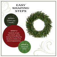 24 in. Pre-Lit Dunhill Shimmer Fir Wreath with Warm White LED Lights - National Tree Company