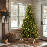 6.5 ft. Pre-Lit Dunhill Fir Slim Tree with Clear Lights - National Tree Company