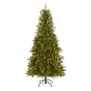 6.5 ft. Pre-Lit Dunhill Fir Slim Tree with Clear Lights - National Tree Company
