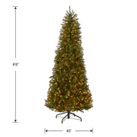 6.5 ft. Pre-Lit Dunhill Fir Slim Tree with Clear Lights - National Tree Company