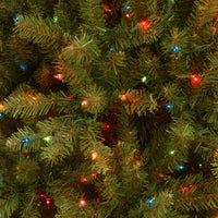 6.5 ft. Pre-Lit Dunhill Fir Slim Tree with Multicolor Lights - National Tree Company