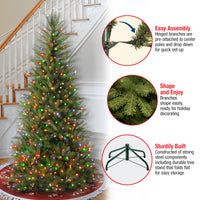 6.5 ft. Pre-Lit Dunhill Fir Slim Tree with Multicolor Lights - National Tree Company