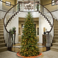 9 ft. Pre-Lit Dunhill Fir Slim Tree with Clear Lights - National Tree Company