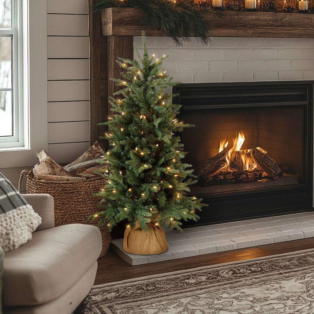 4 ft. Pre-Lit Everyday Collection Tree with Clear Lights, Plug-In ...