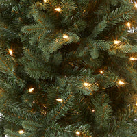 4 ft. Pre-Lit Everyday Collection Tree with Clear Lights - National Tree Company