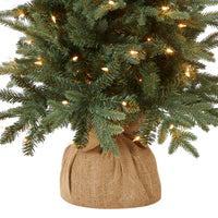 4 ft. Pre-Lit Everyday Collection Tree with Clear Lights - National Tree Company