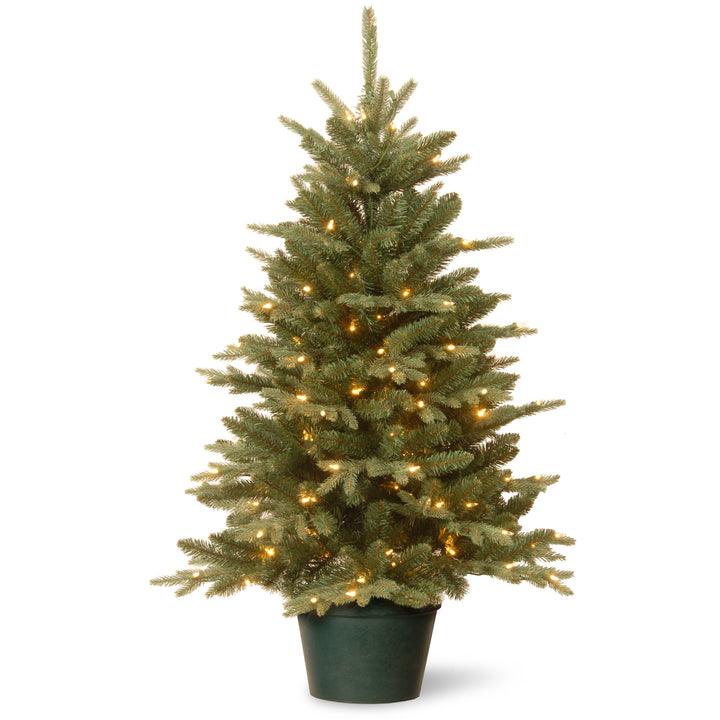 3 ft. Everyday Collection Evergreen Tree with Clear Lights